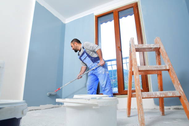 Reliable Carthage, MO Mold Removal Solutions