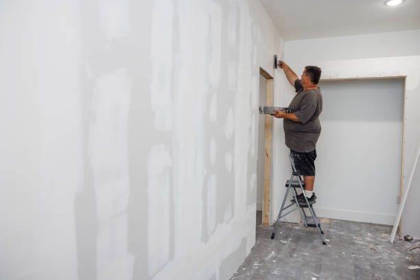 Best Mold Remediation for Healthcare Facilities  in Carthage, MO