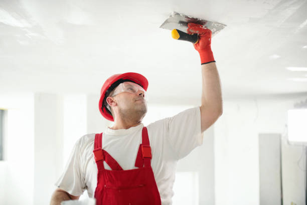 Best Emergency Mold Remediation  in Carthage, MO