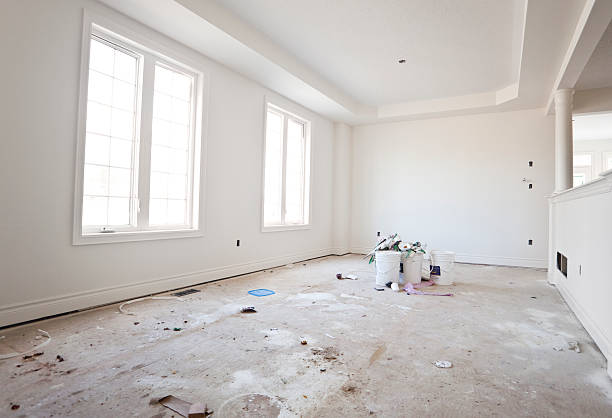 Best Basement Mold Removal  in Carthage, MO