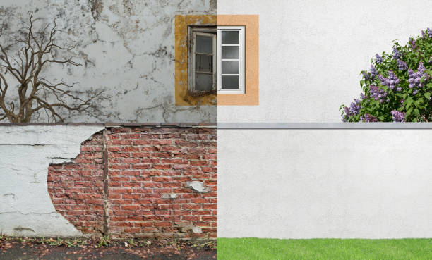 Best Environmental Consulting for Mold Prevention  in Carthage, MO