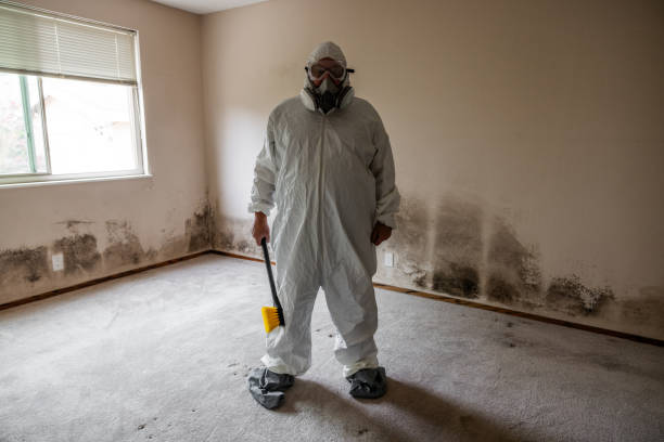 Mold Documentation for Insurance Claims in Carthage, MO
