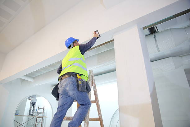 Best Mold Damage Restoration  in Carthage, MO