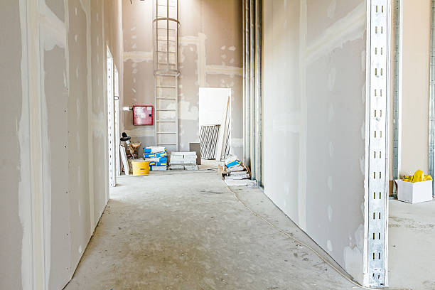 Best Mold Odor Removal Services  in Carthage, MO
