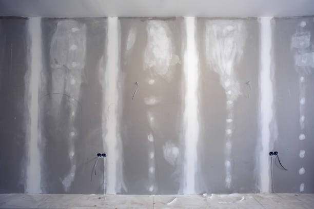 Best Attic Mold Removal  in Carthage, MO