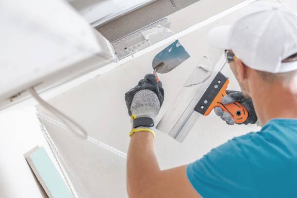 Best Air Quality Testing for Mold Spores  in Carthage, MO